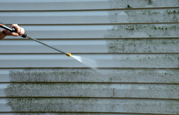 Best Exterior Home Cleaning  in Glenmora, LA