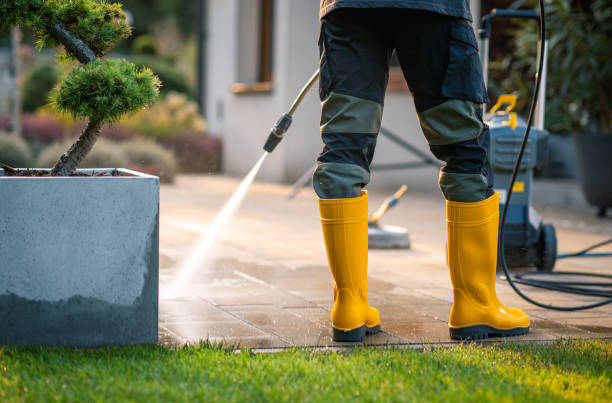 Best Roof Power Washing Services  in Glenmora, LA